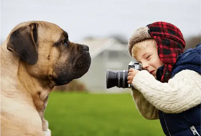 子供が犬を撮る撮影写真